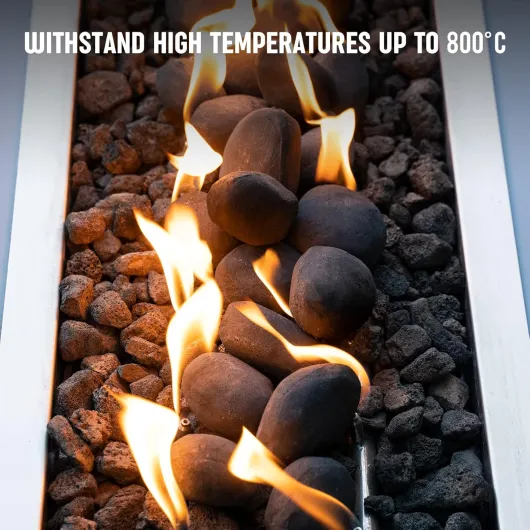 817RBE0cBnL._AC_SL1500_