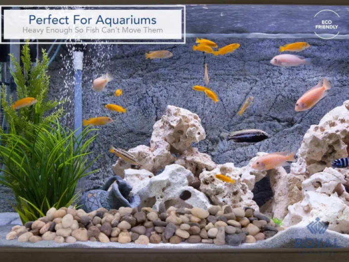 91l916kJuML._SL1500_