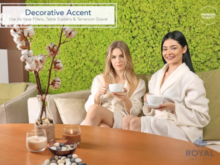 91HggHoVXcL._SL1500_