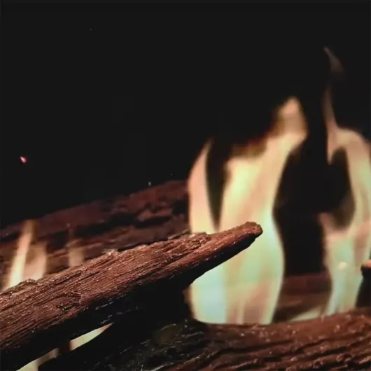 51fiT1RzD9L._AC_SL1000_